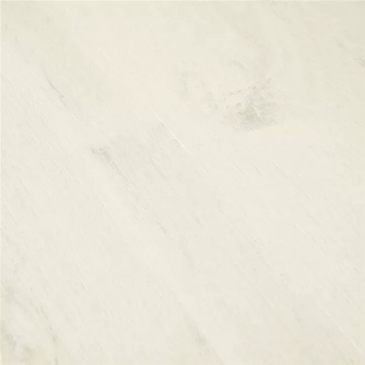 Roble blanco Charlotte